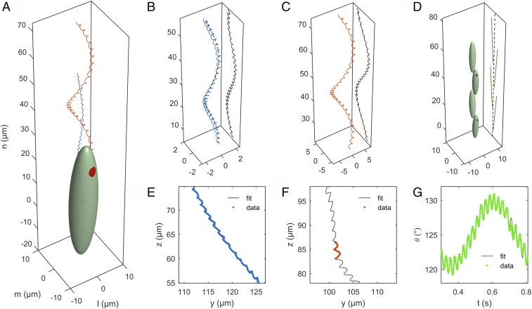 Fig. 2.