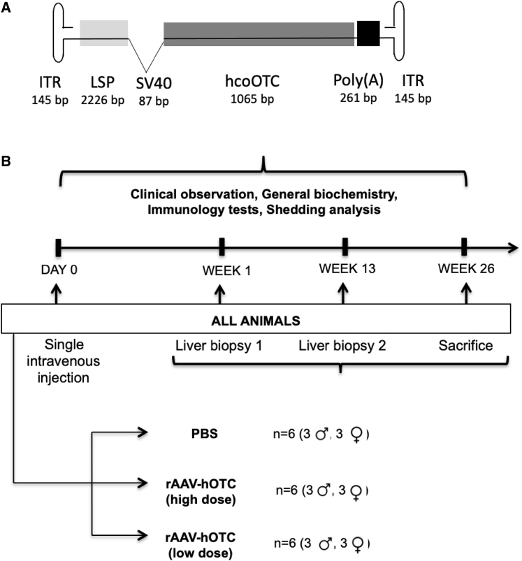 Figure 1