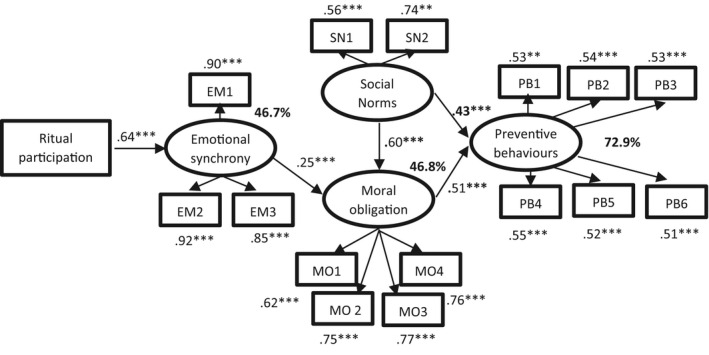 FIGURE 3