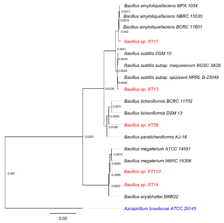 Figure 1