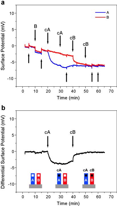 Fig 3.