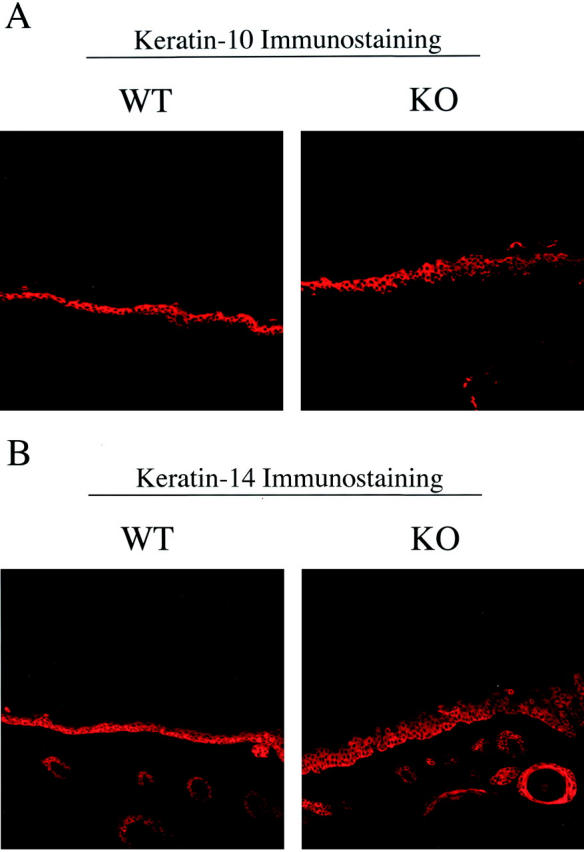 Figure 10.