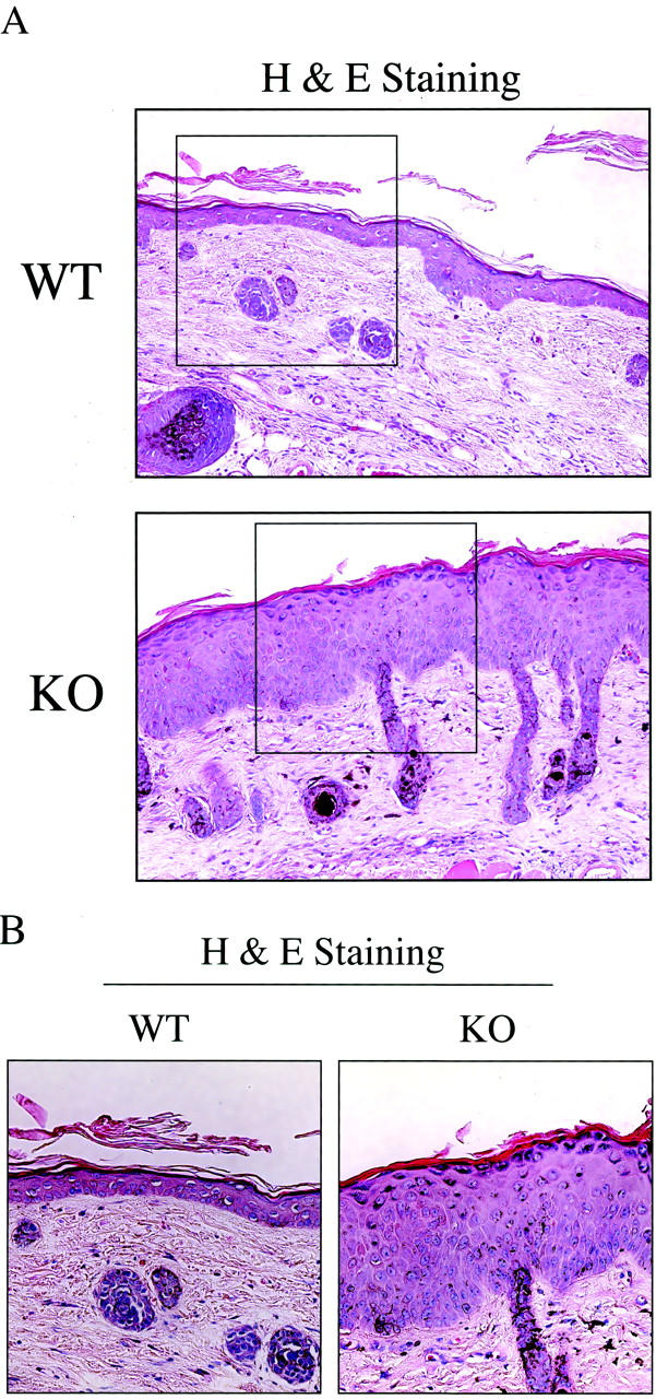 Figure 9.