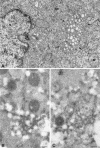 FIG. 7.