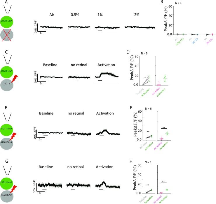 Fig 4