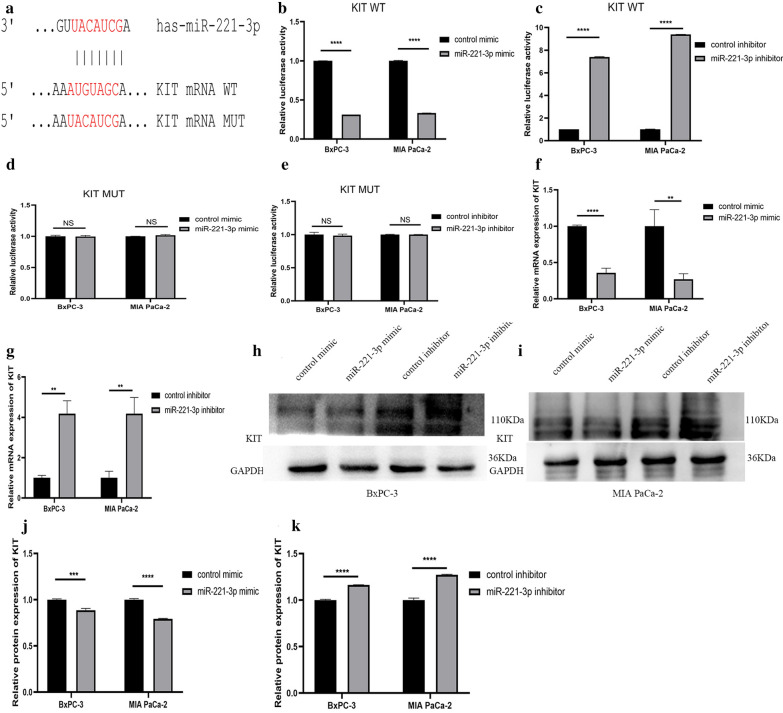 Fig. 12