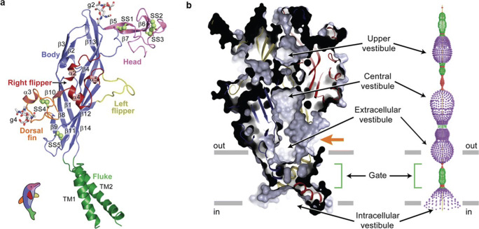 Fig. 6