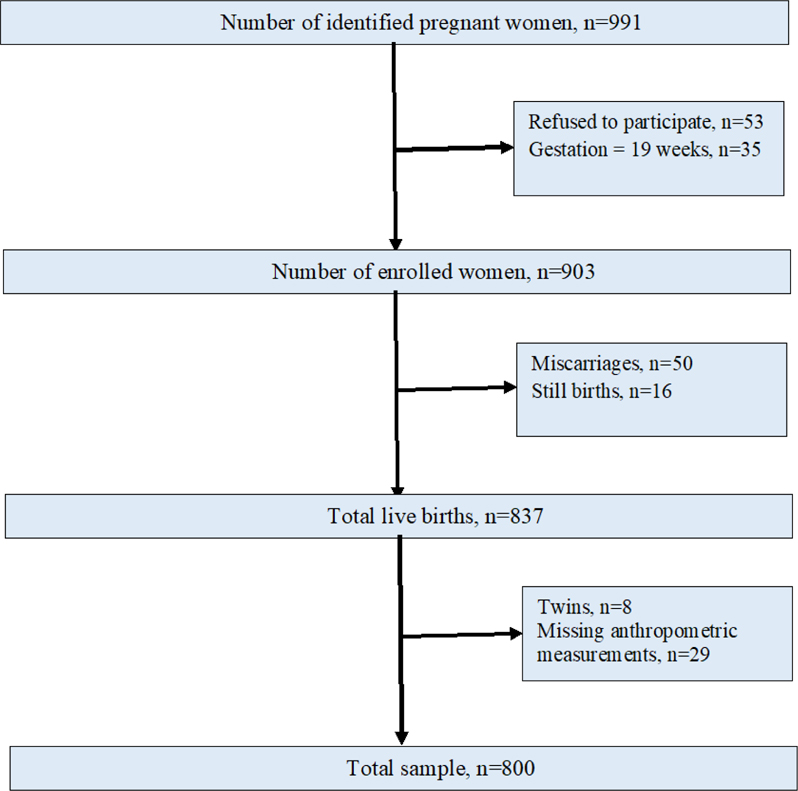 Figure 1: