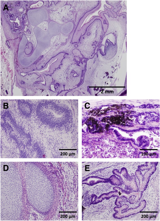 Fig 4