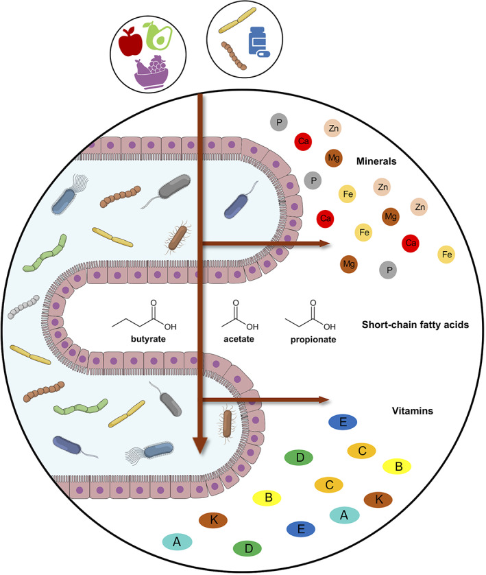 FIGURE 1