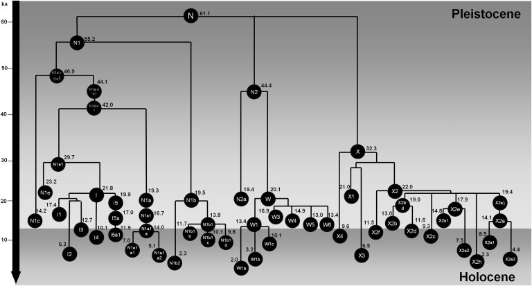 Figure 1