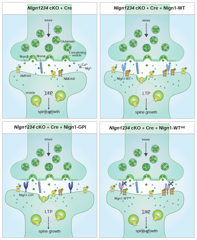 Figure 7.