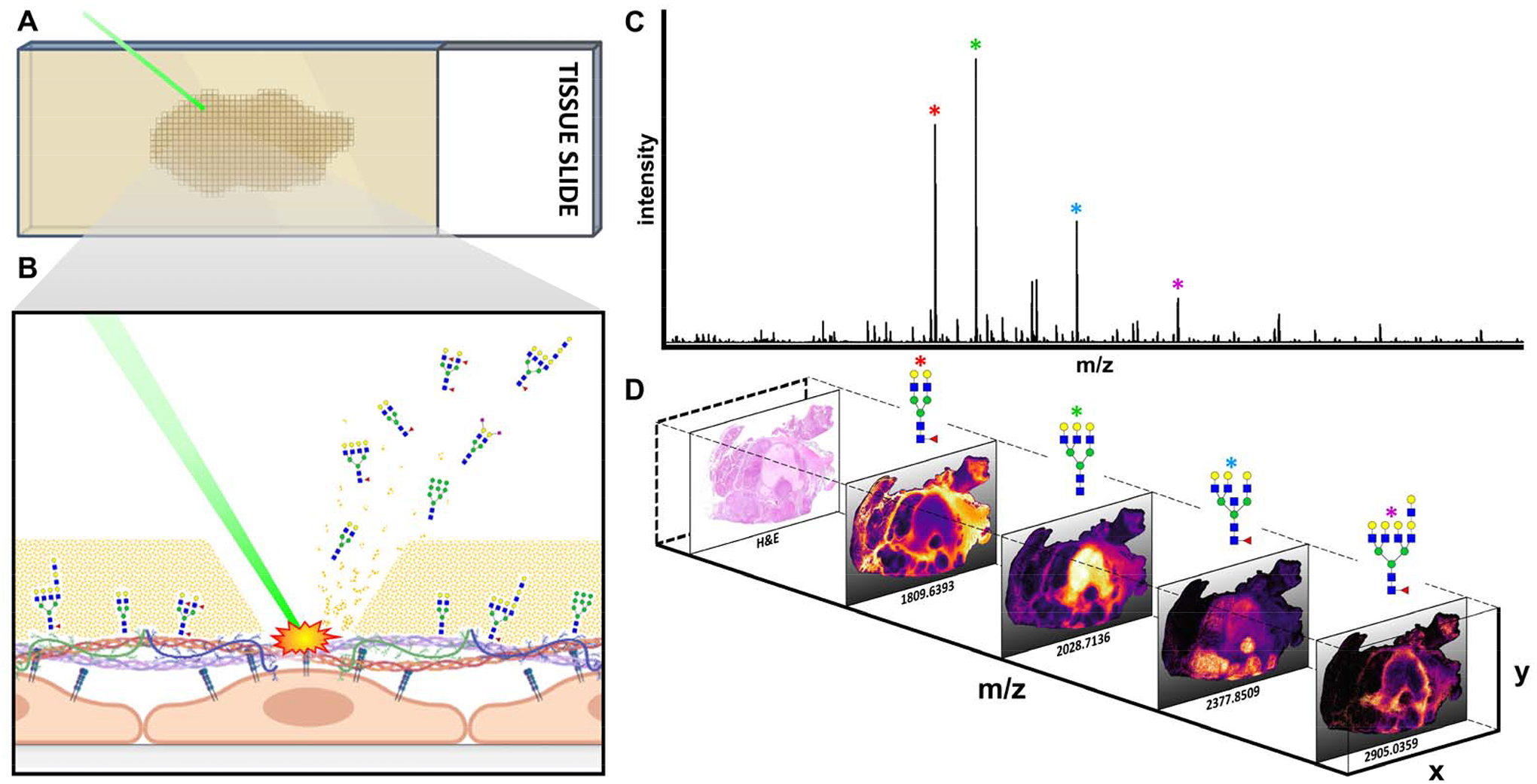 Figure 3.