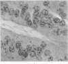 170-3