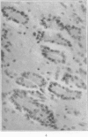 170-3