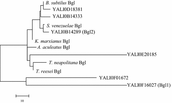 Fig. 2