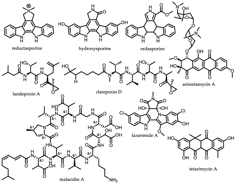 Figure 7