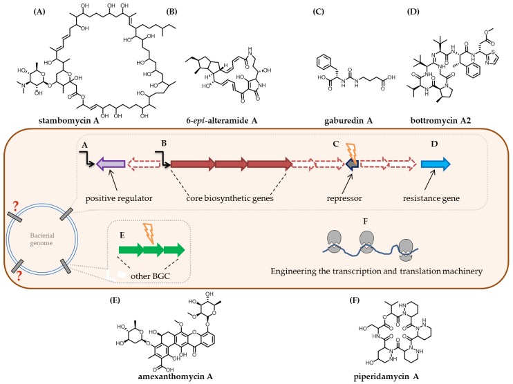 Figure 9