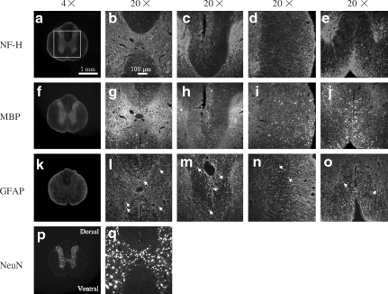 FIG. 8.