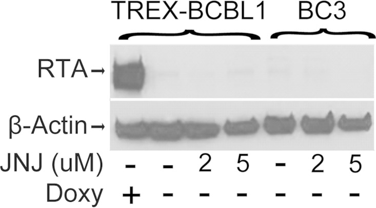 FIG 6