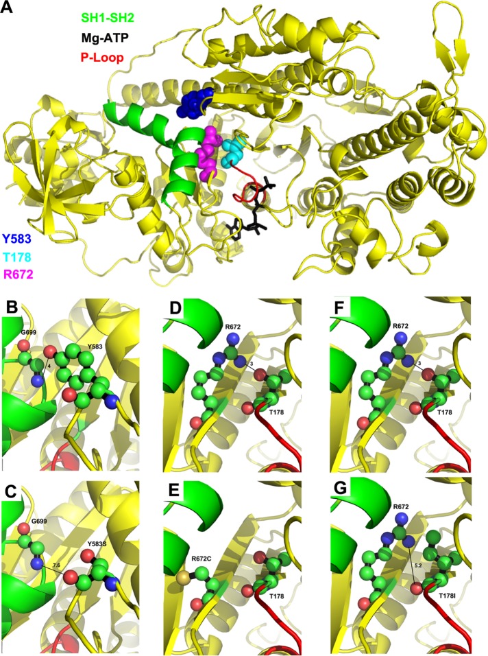 FIGURE 1: