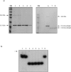 FIG. 7.