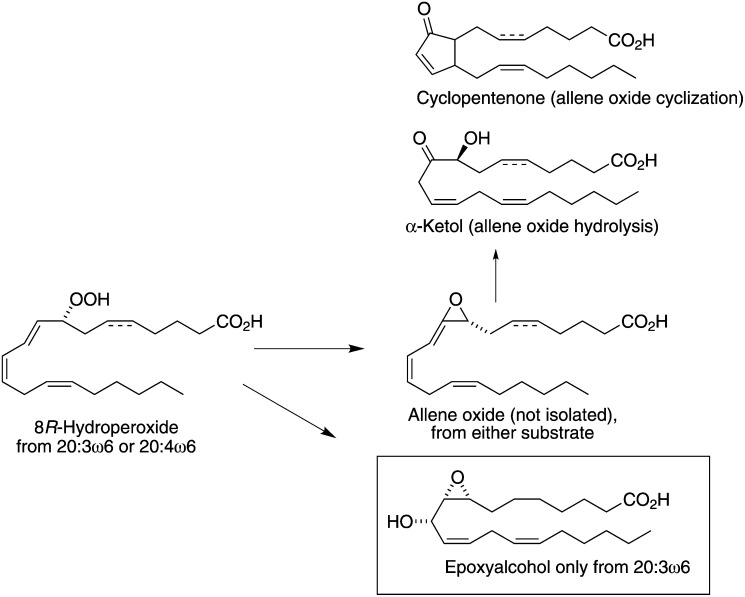 Scheme 1.