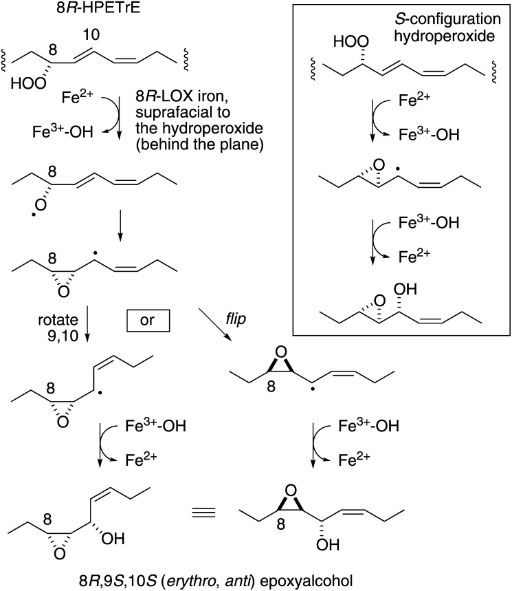 Fig.5.