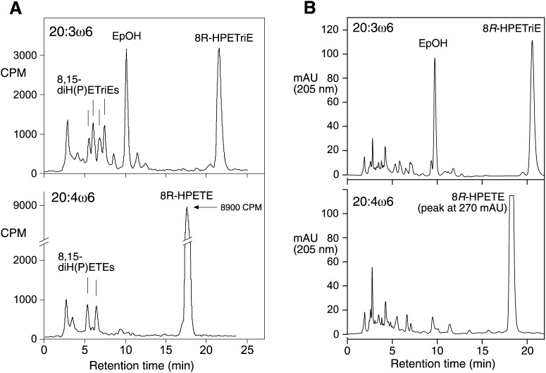 Fig.3.