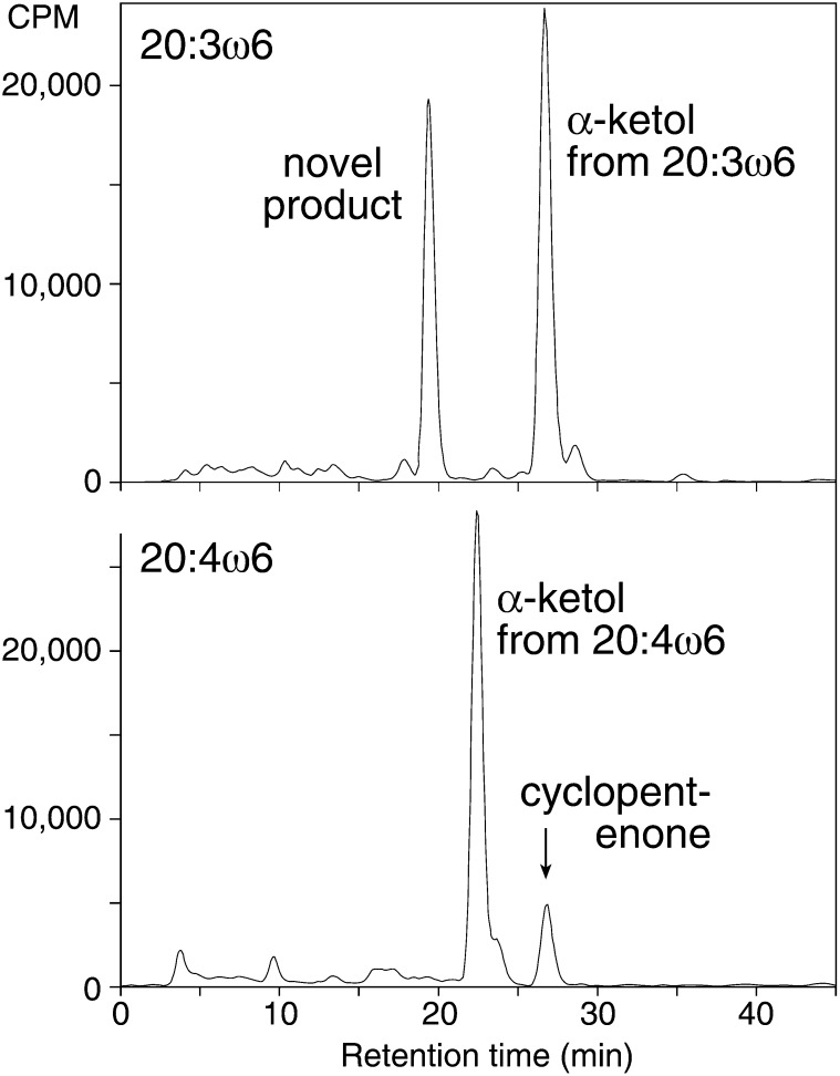 Fig.1.