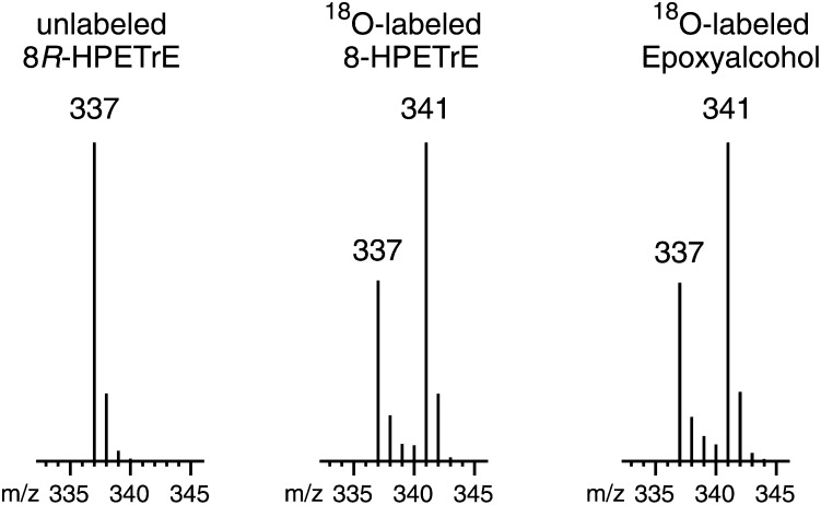 Fig.4.