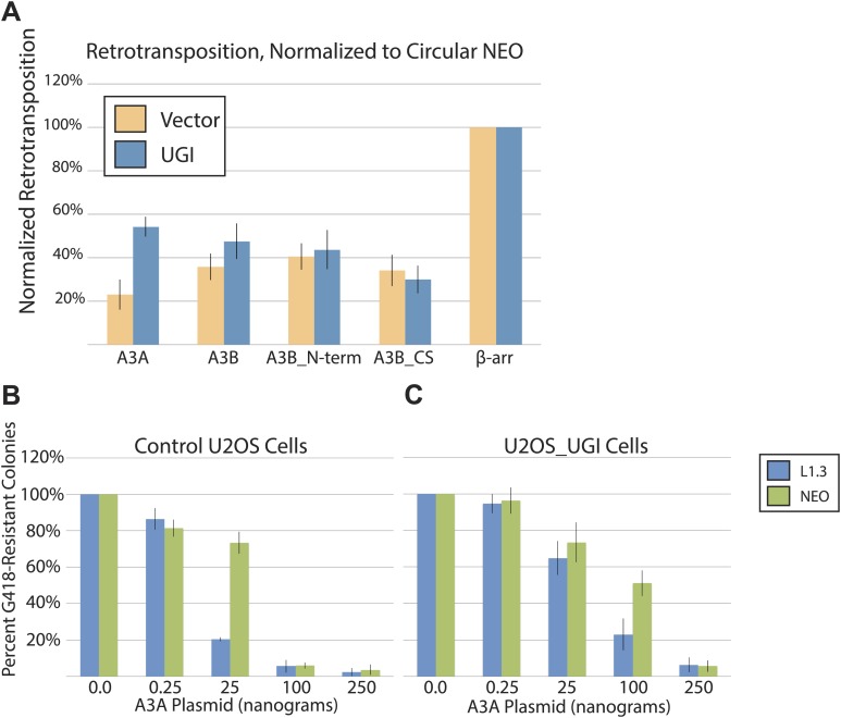 Figure 3—figure supplement 1.