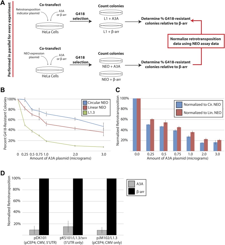 Figure 1—figure supplement 1.