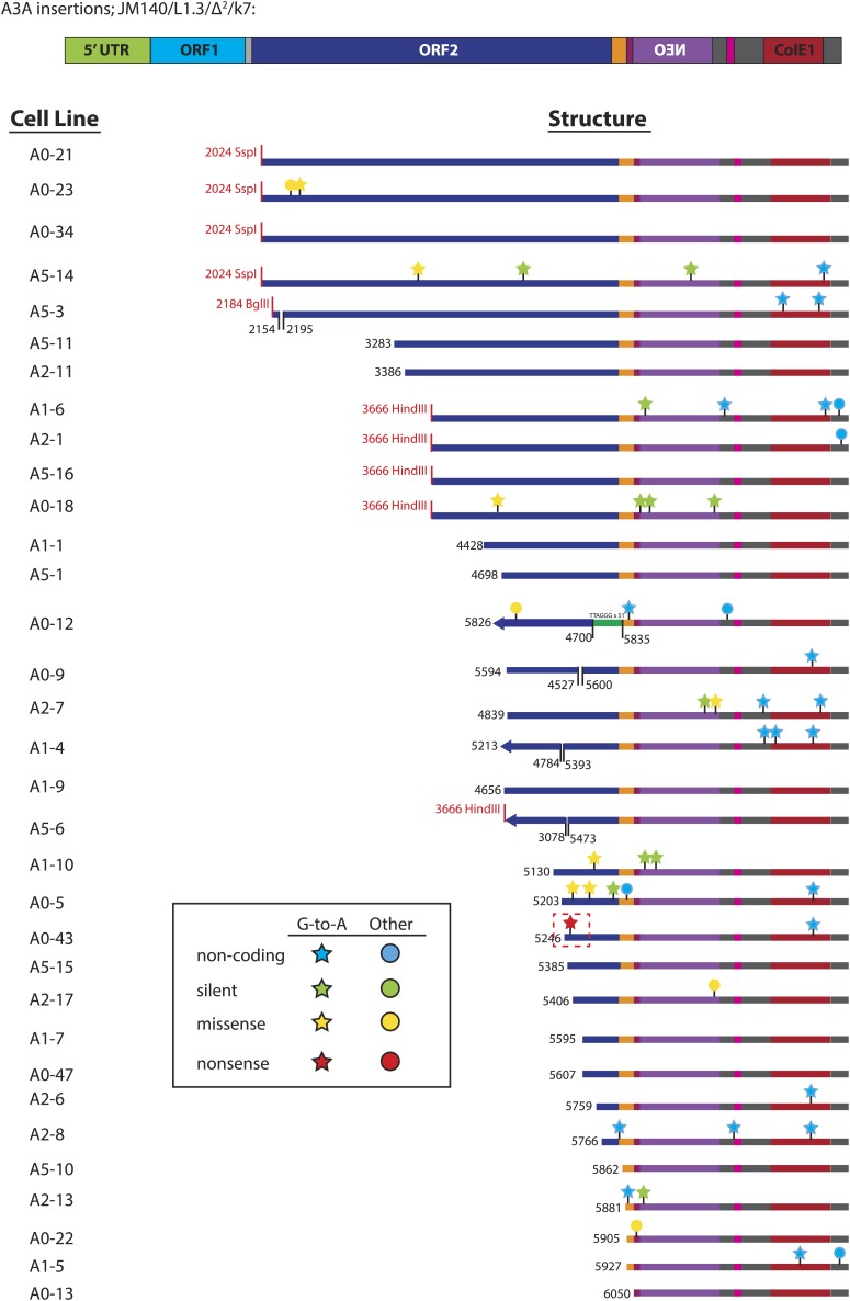 Figure 3—figure supplement 4.