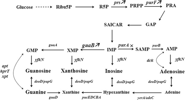 Fig. 3