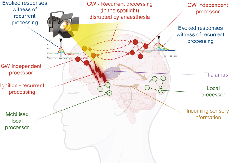 Figure 2