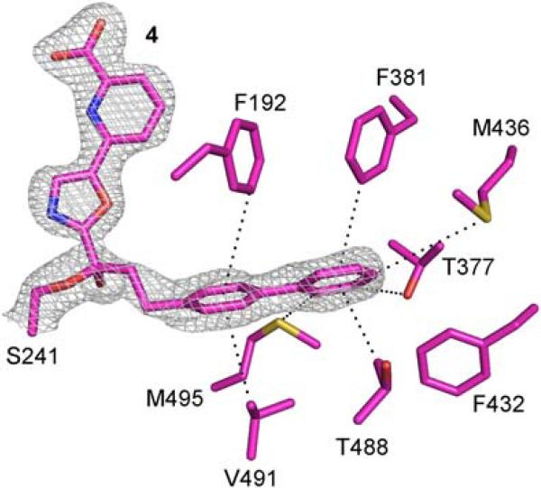 Figure 4