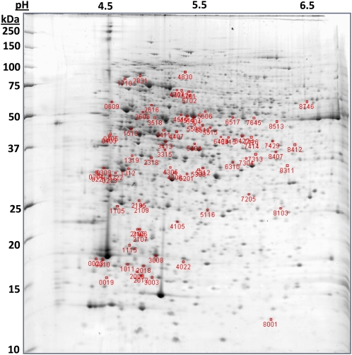 Figure 3.