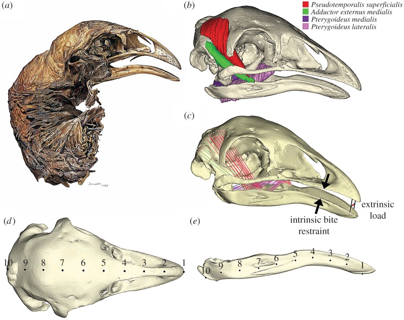 Figure 2.