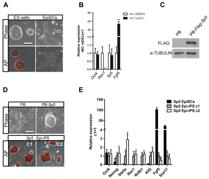 Fig. 4.