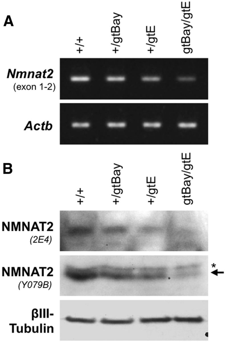 Figure 9.