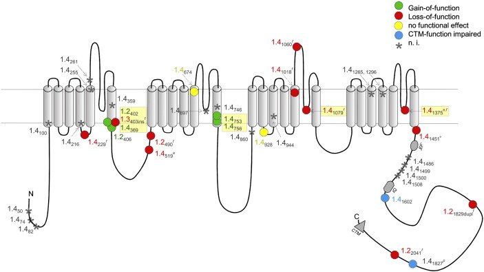 Fig. 1