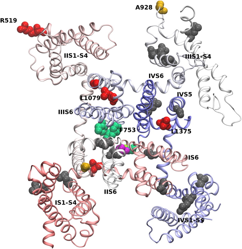 Fig. 2