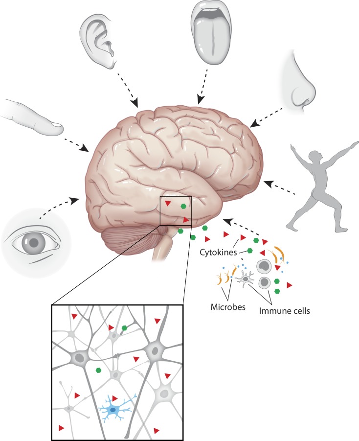 Figure 1.