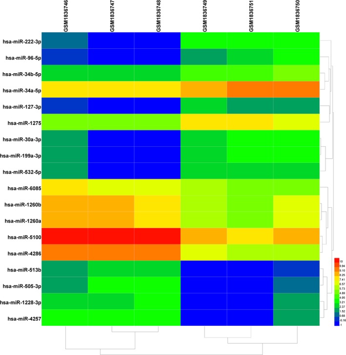 Analysis of miRNA‐mRNA regulatory network revealed key genes induced by ...