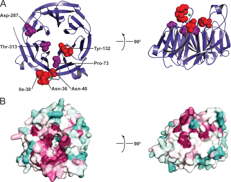 FIGURE 1.