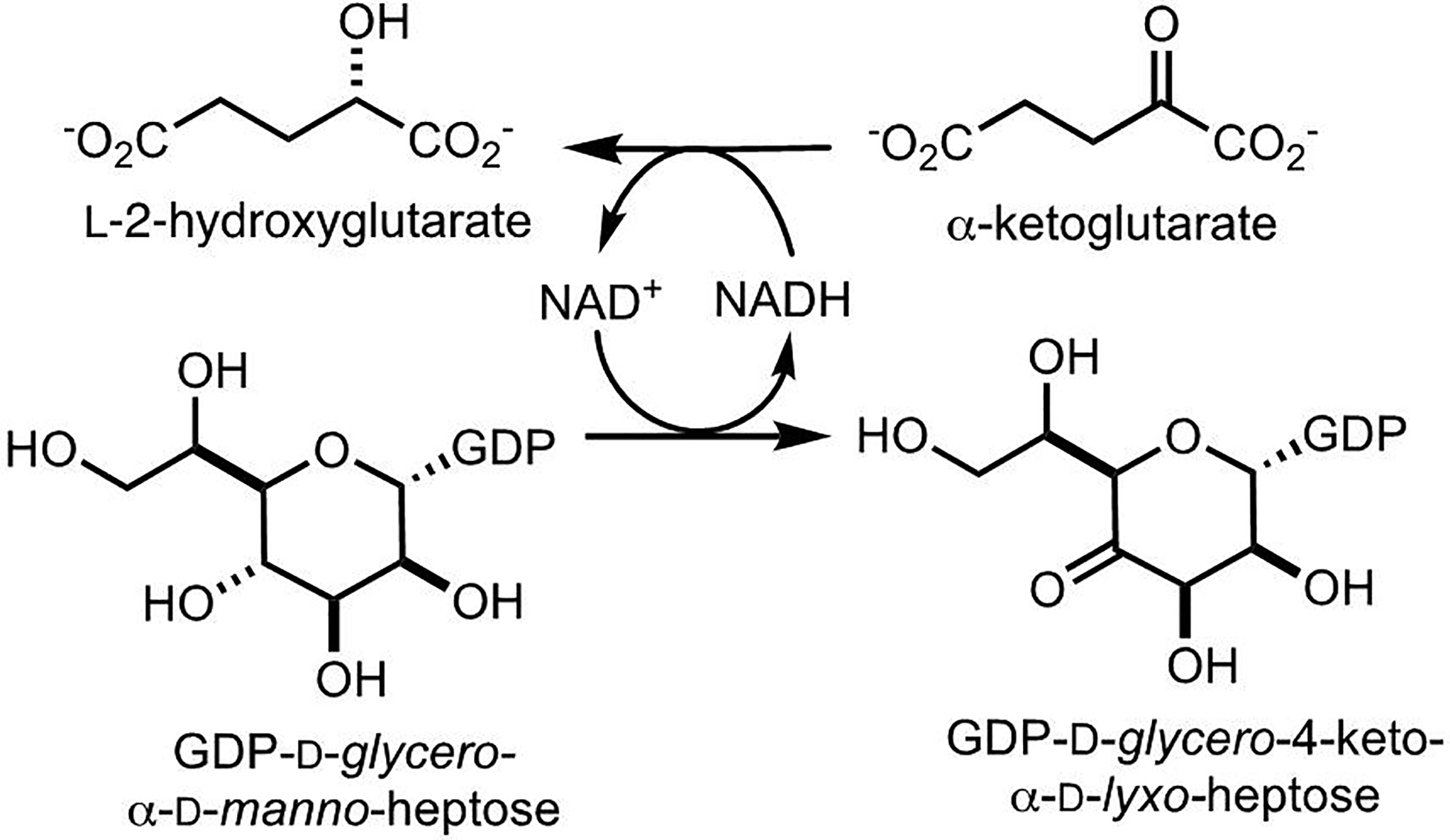 Scheme 6: