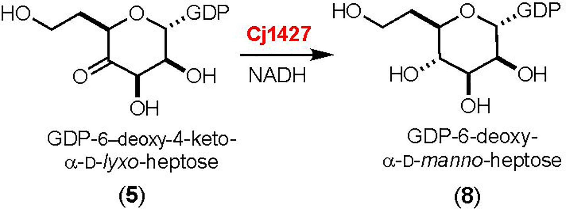 Scheme 3: