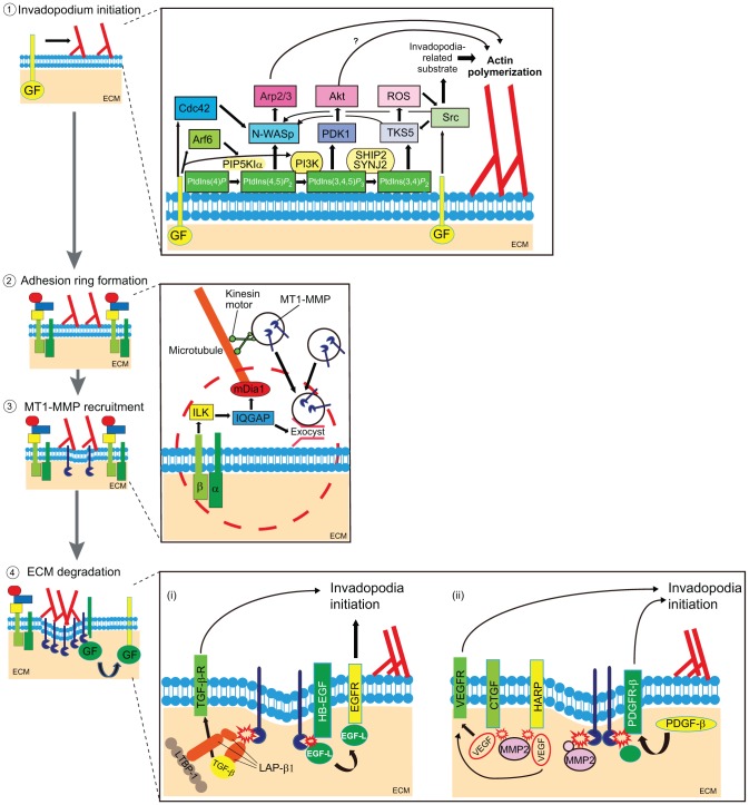 Fig. 2.