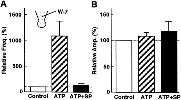 Fig. 9.